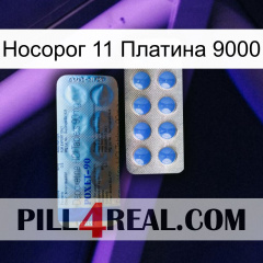 Носорог 11 Платина 9000 40